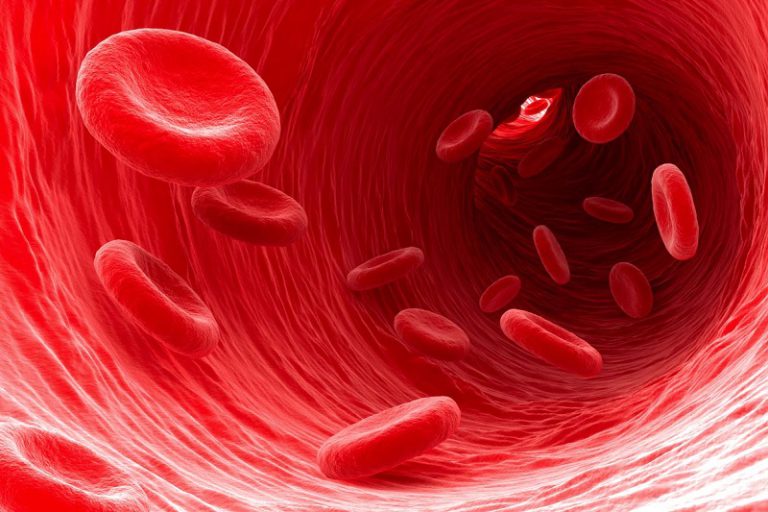 How Long Does Anemia Last?