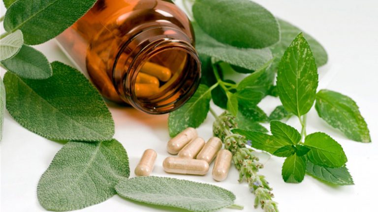 Herbal Medicines and Their Uses