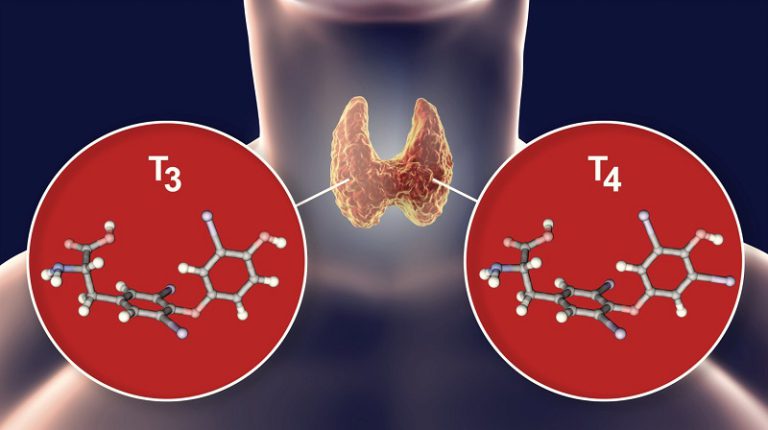 The Benefits of a Thyroid T3 Supplement