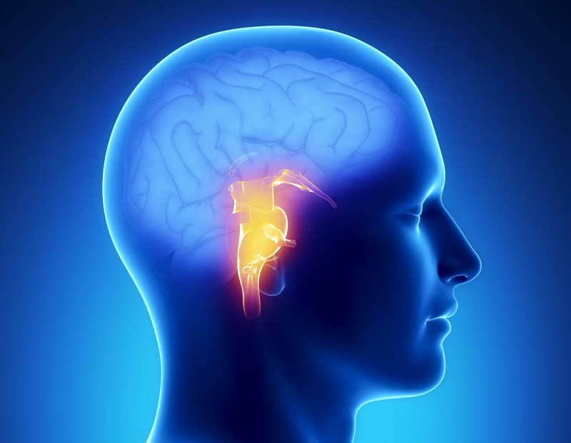 brain-stem-stroke-syndrome-eshealthtips